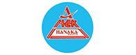 Công ty Cổ phần Tập đoàn HANAKA